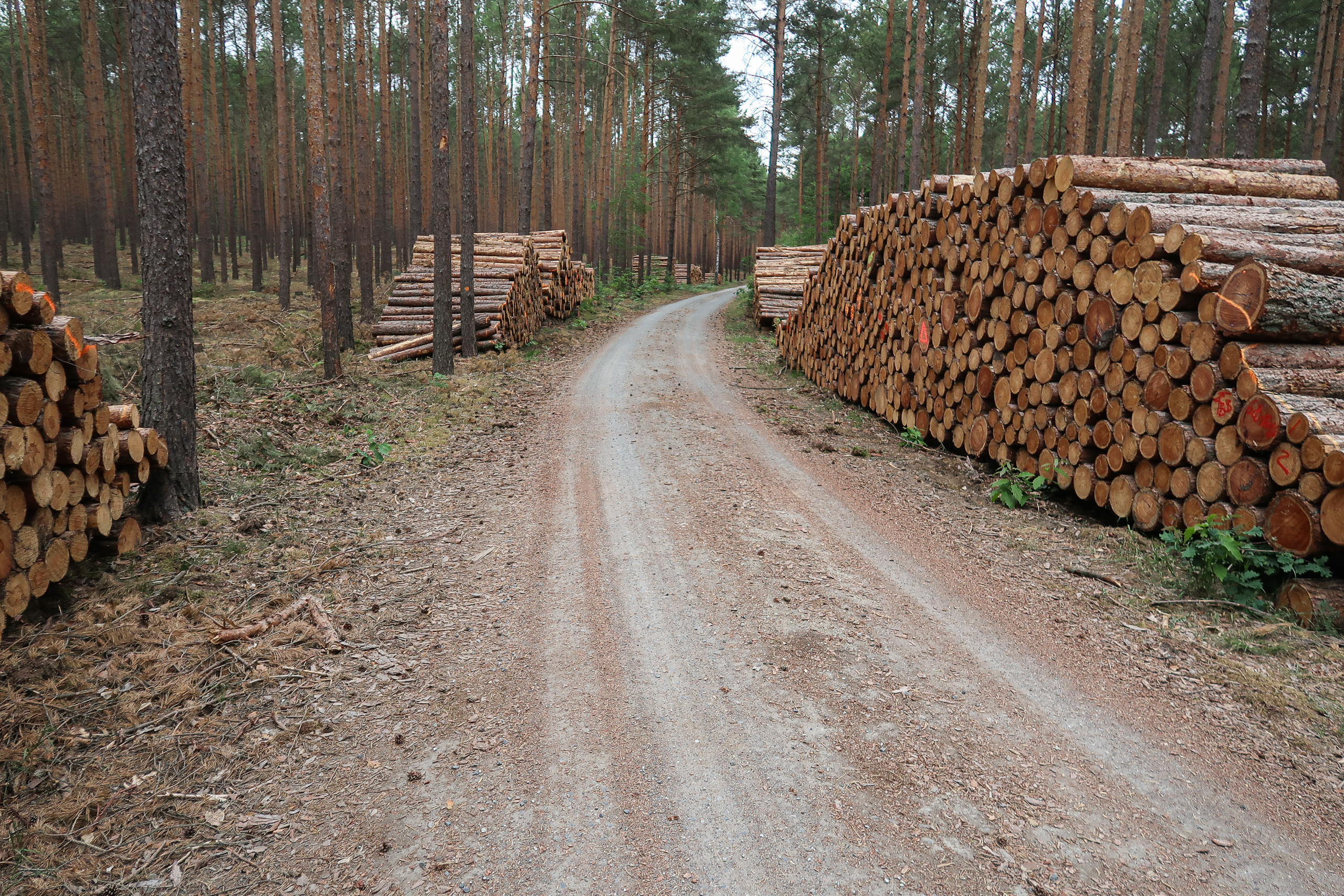 Der Anbau aus DDR-Zeiten – solide Handwerksarbeit, fragwürdige Wanddeko